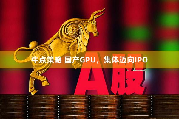 牛点策略 国产GPU，集体迈向IPO